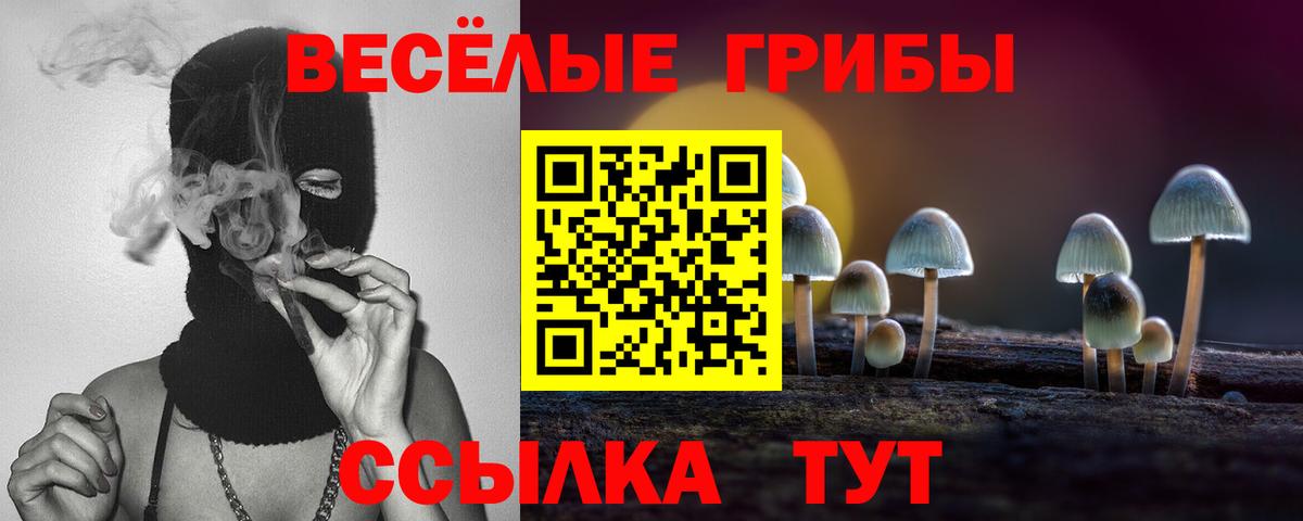 Галлюциногенные грибы мицелий  Вход с VPN  Галлюциногенные грибы Magic Shrooms  Алатырь 