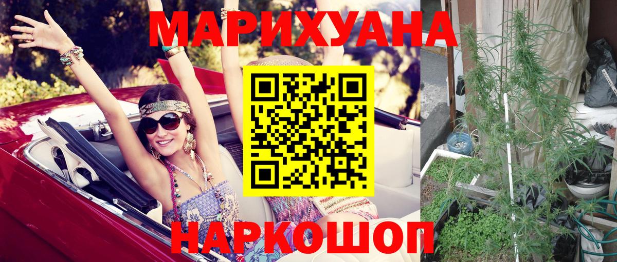 Канабис SATIVA & INDICA Алатырь